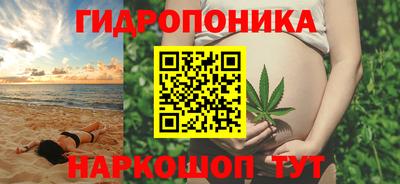 спиды Пугачёв